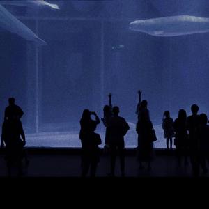 国产xxxxxxxxxxxxxxxxxxxxxxxxx
