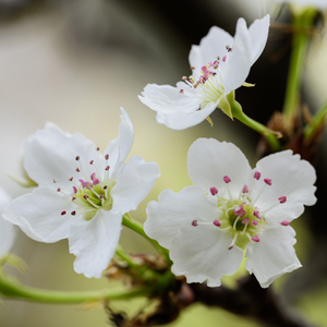 国产xxxxxxxxxxxxxxxxxxxxxxxxx
